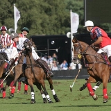 Polo, Commercial Wedding Photographers: Photoscience.co.uk